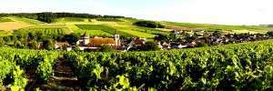 Quatre bonnes raisons de visiter la Bourgogne